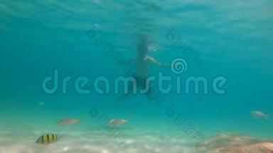 4k慢镜头白种人年轻男子浮潜面具和呼吸管在一个美丽的海洋与许多